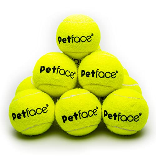 Petface- pelotas de tenis para perros - paquete de 12